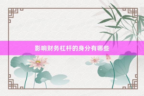 影响财务杠杆的身分有哪些