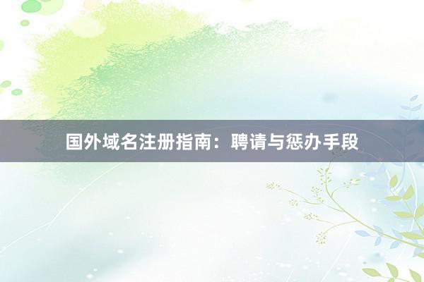 国外域名注册指南：聘请与惩办手段
